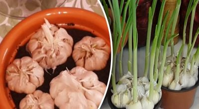 Фото новини