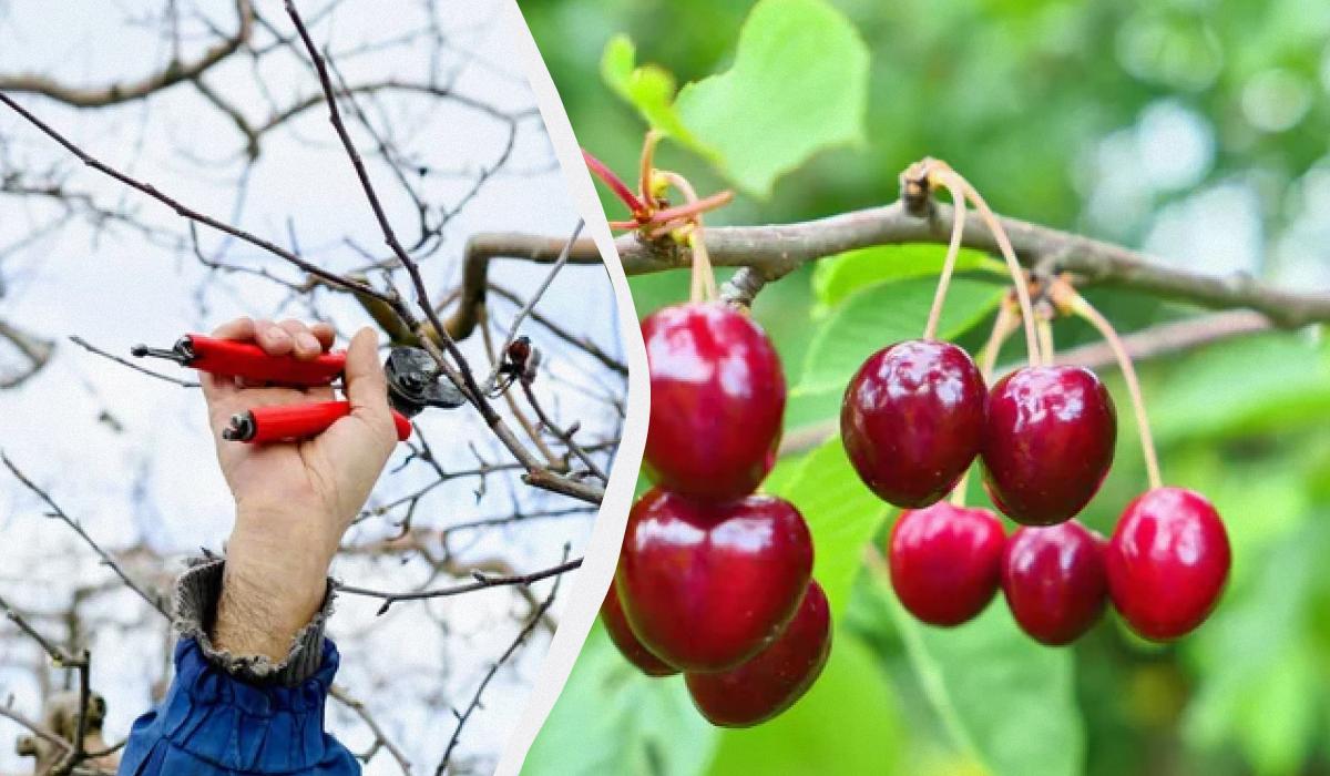 Фото новини