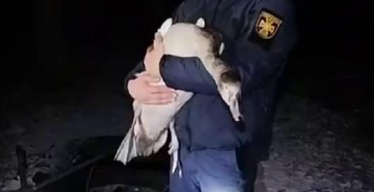 Фото новини