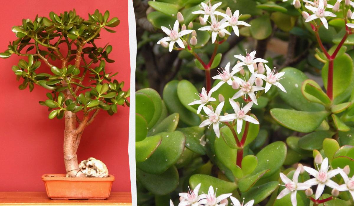 Фото новини