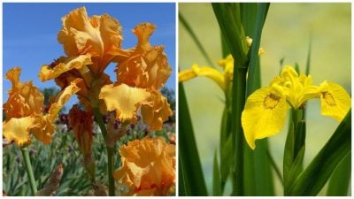 Фото новини