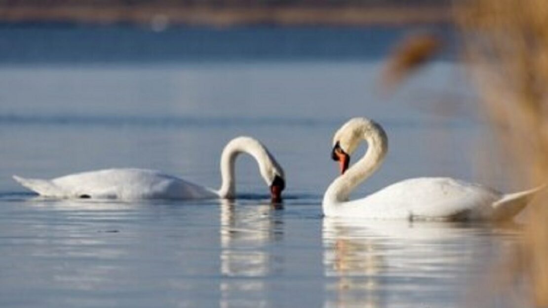 Фото новини