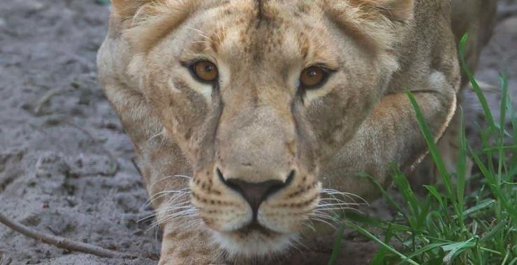 Фото новини