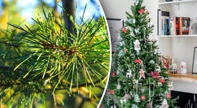 Фото новини