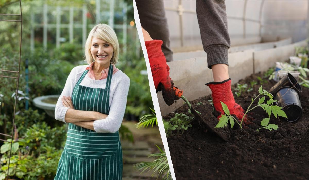 Фото новини