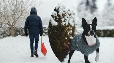 Фото новини