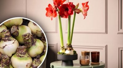 Фото новини