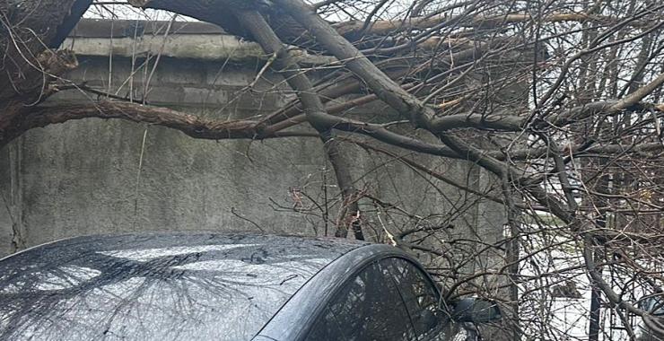 Фото новини