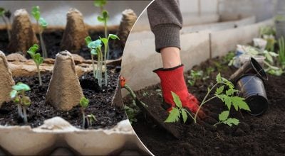 Фото новини