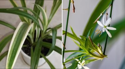 Фото новини