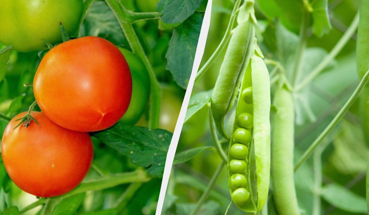 Фото новини