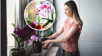 Фото новини