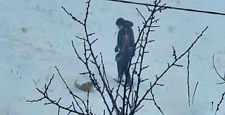 Фото новини