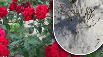 Фото новини