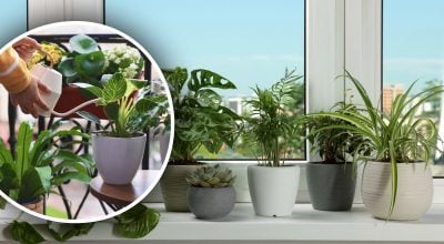 Фото новини