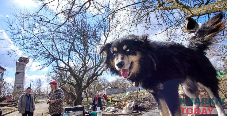 Фото новини