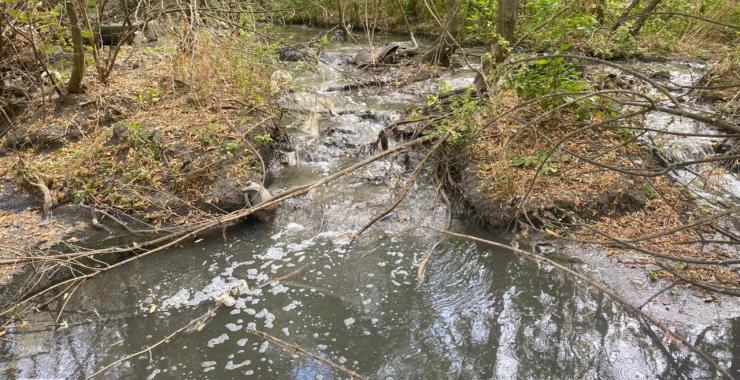 Фото новини