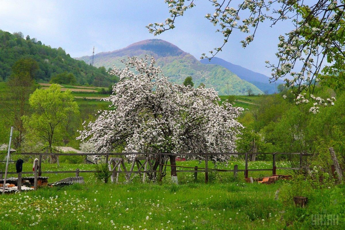 Фото новини