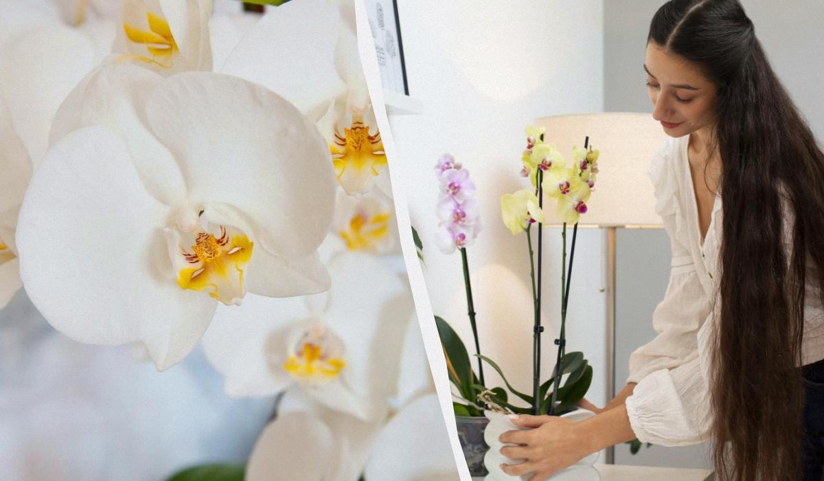 Фото новини