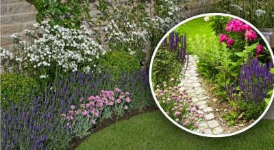 Фото новини