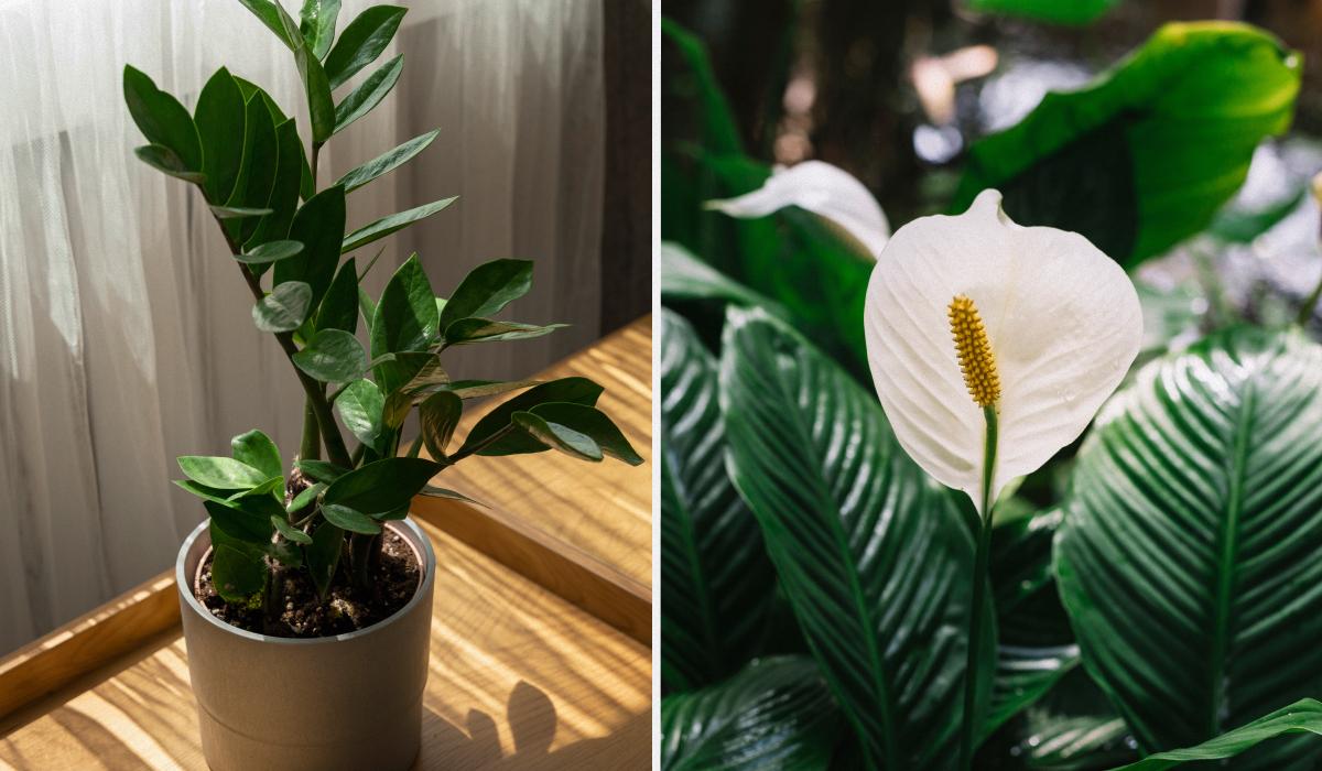 Фото новини