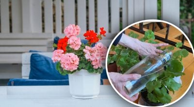 Фото новини