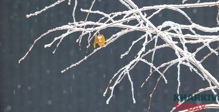 Фото новини