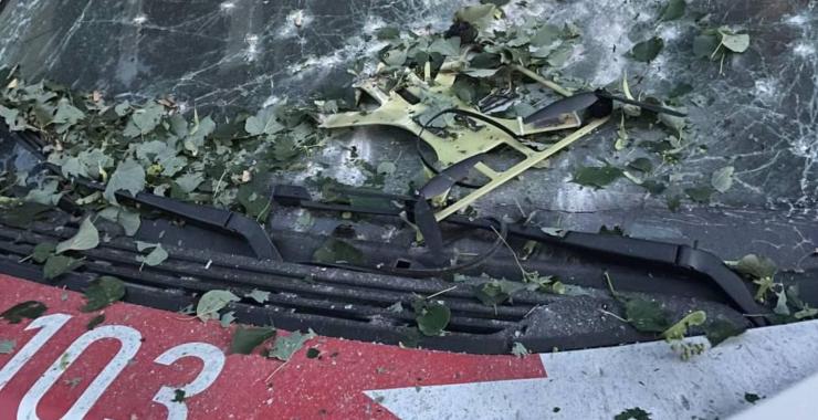 Фото новини