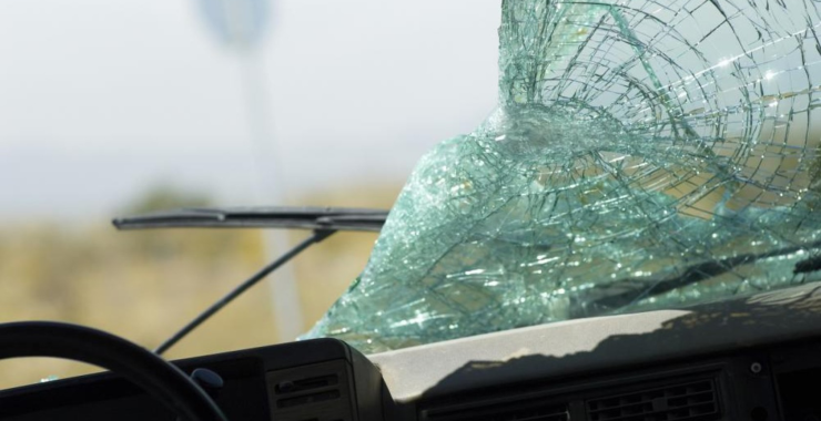 Фото новини