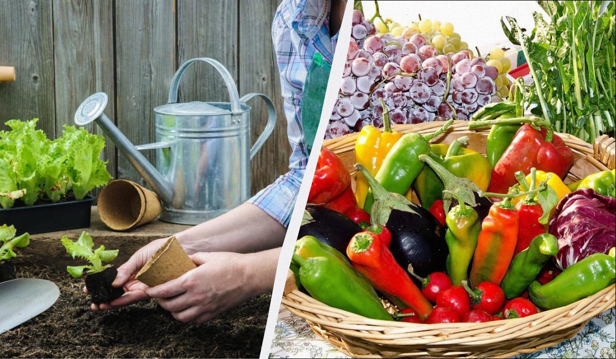 Фото новини