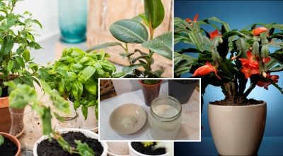 Фото новини