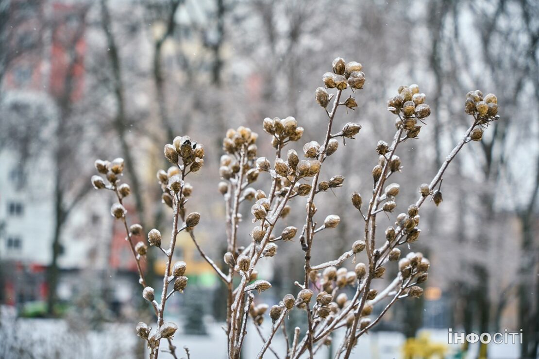 Фото новини