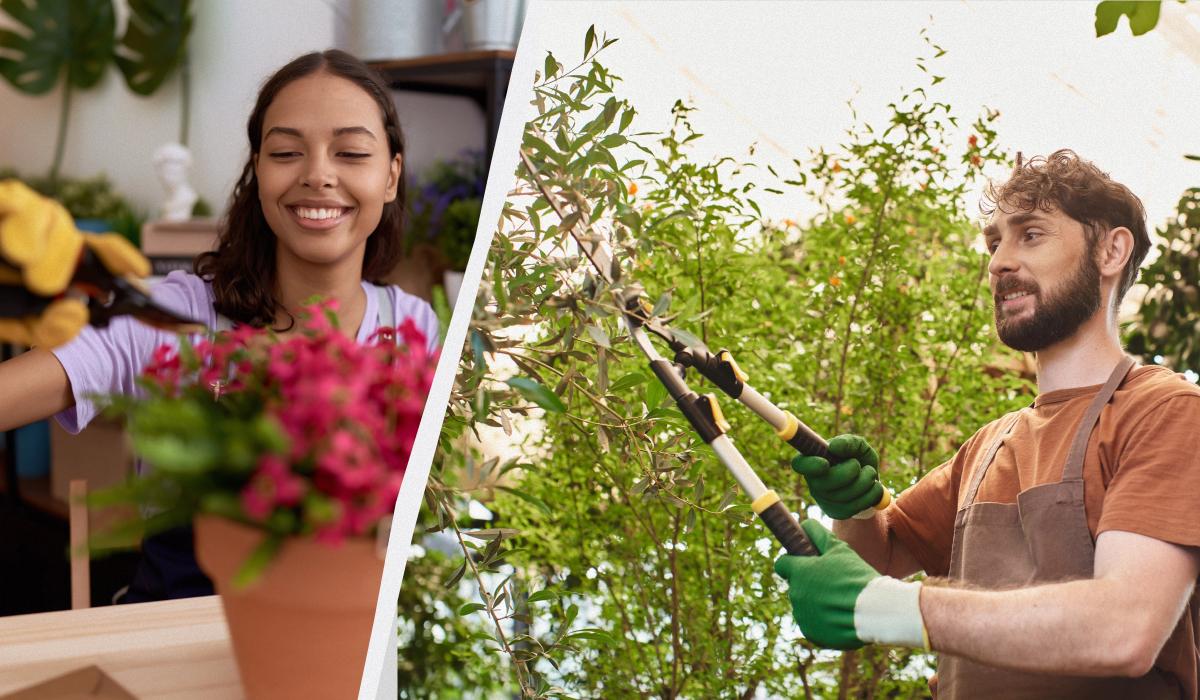 Фото новини