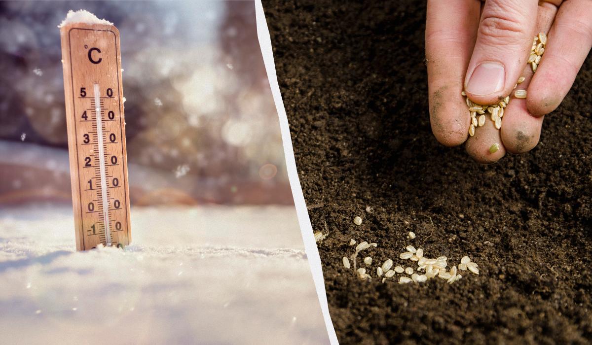 Фото новини