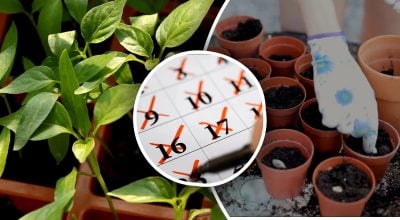 Фото новини