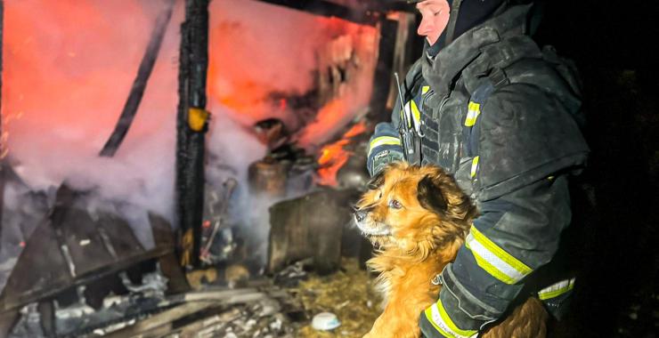 Фото новини