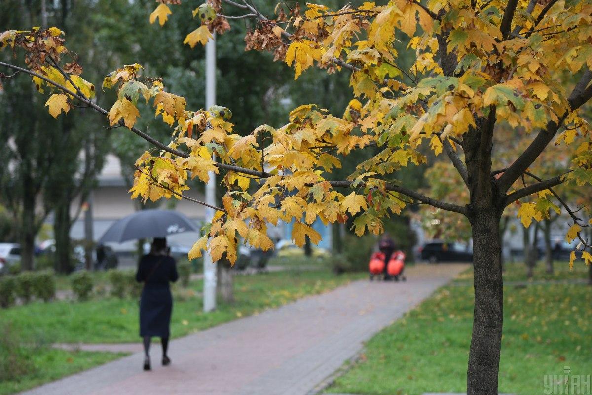 Фото новини