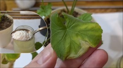 Фото новини