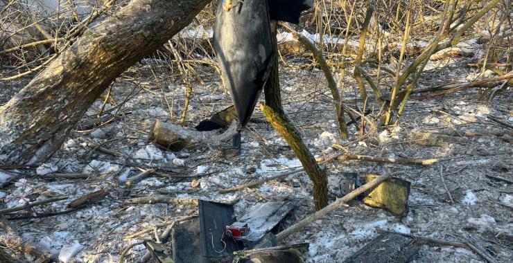 Фото новини