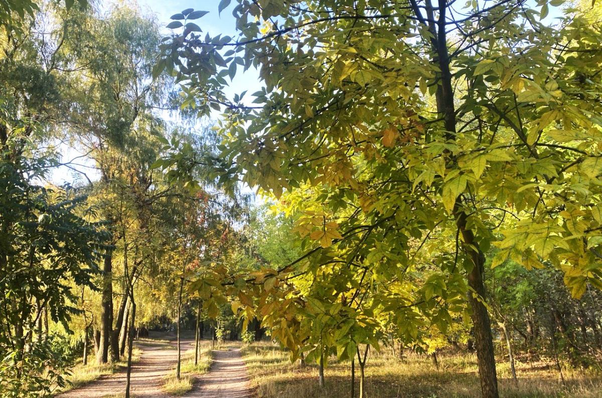 Фото новини