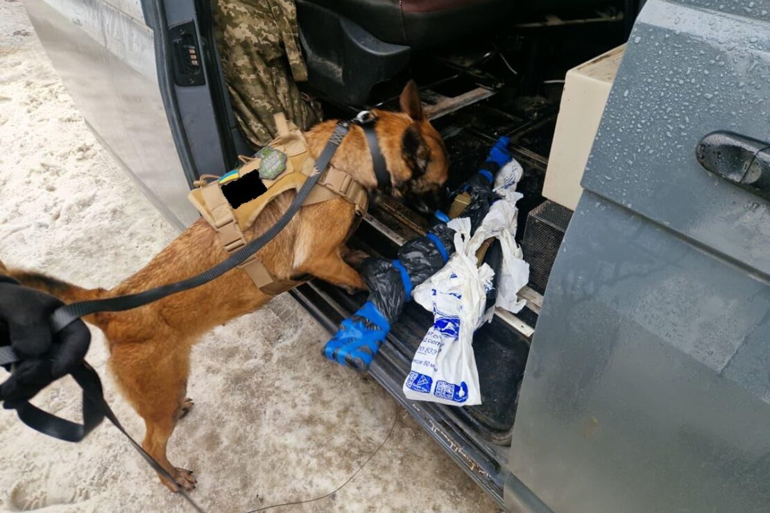 Фото новини