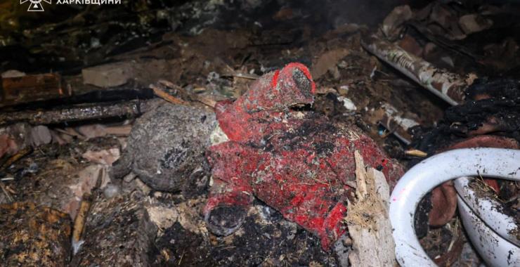 Фото новини