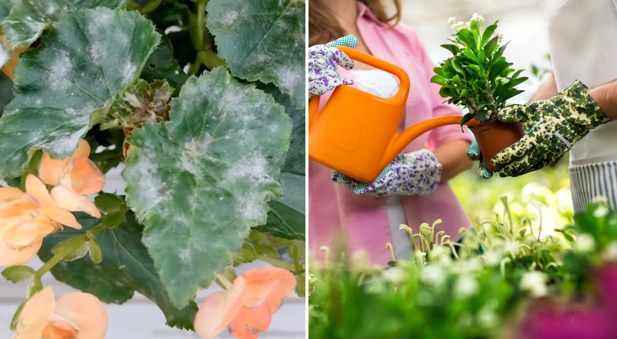 Фото новини