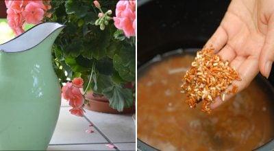 Фото новини