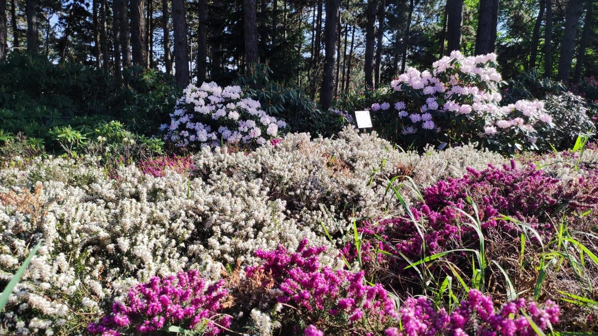 Фото новини