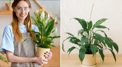 Фото новини