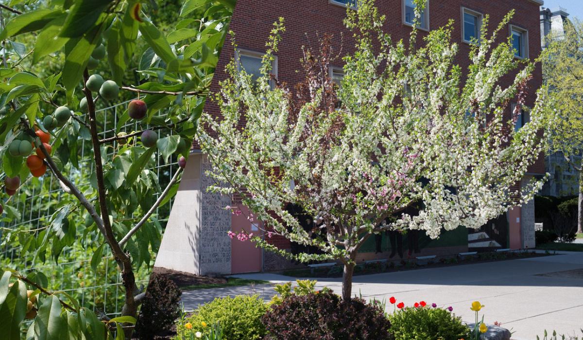 Фото новини