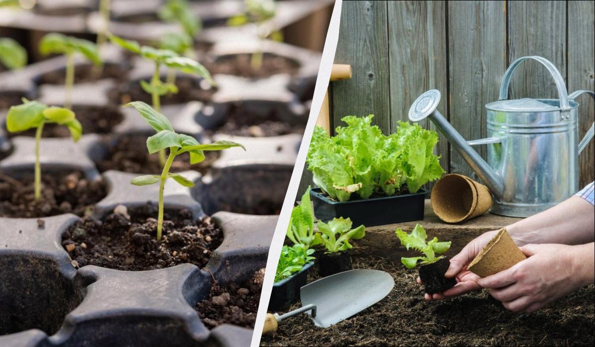 Фото новини