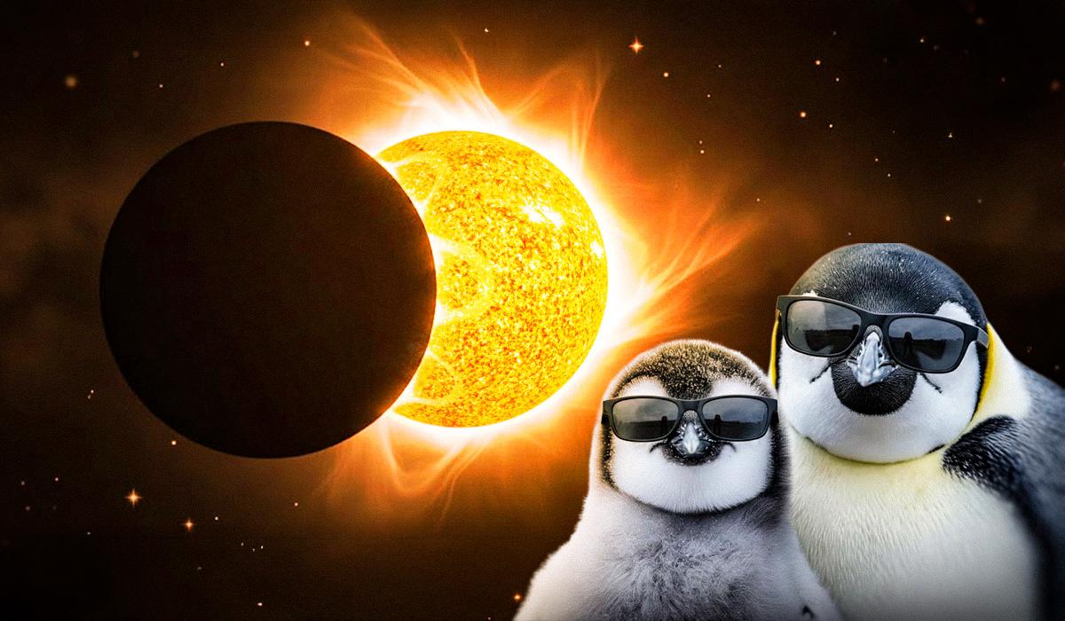 Фото новини