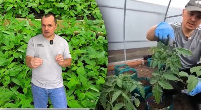 Фото новини